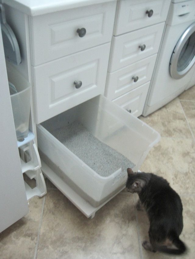 Cat Litter Box Organization We Know How To Do It