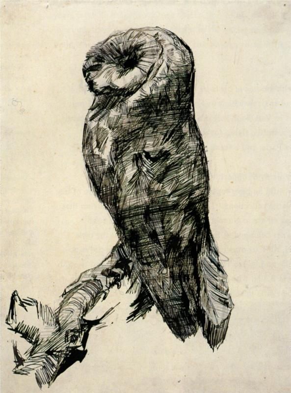 'Barn Owl Viewed from the Side' by Vincent van Gogh (1887)