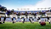 Baltimore Ravens: football