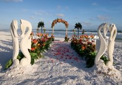 Beach Wedding themes conjure up romantic thoughts of a fairy tale wedding. The g