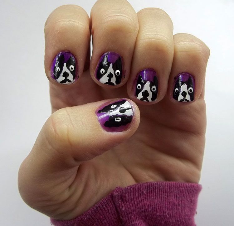 Boston Terrier nails