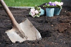 Breaking the bank by filling your raised beds with high-grade, commercial soil?