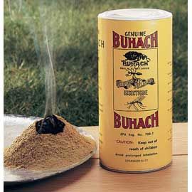 Buhach Insect Powder Nature’s “secret” bug repellent — n