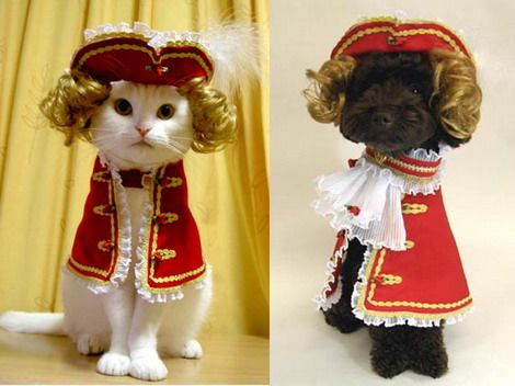 Cat costumes