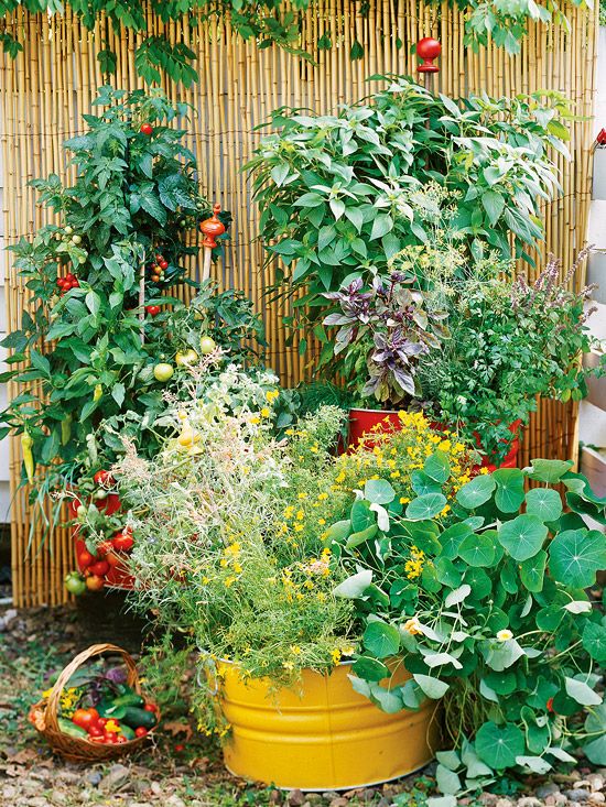 Container garden, this is how I want mine to look!
