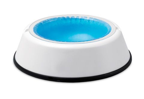 Cooling Pet Bowl – Freeze the insert overnight, and it'll keep their water f