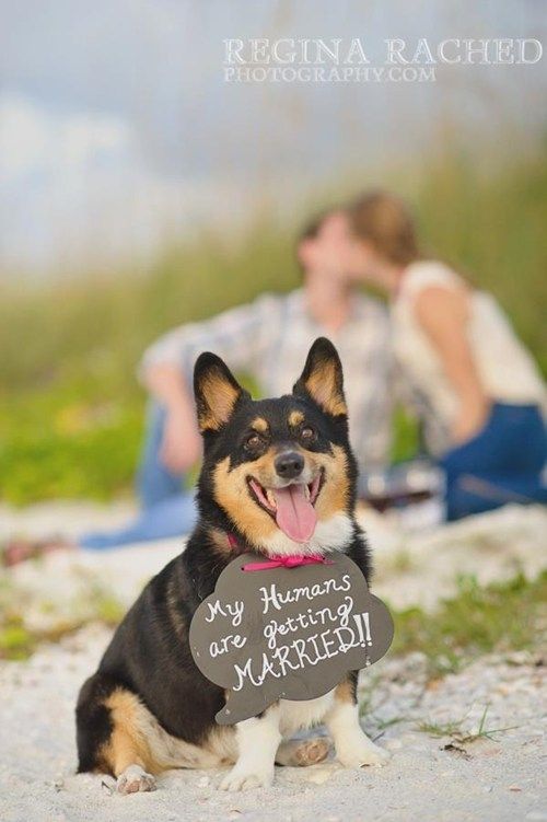 DIBS. This WILL be my wedding announcement.
