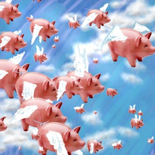 Flying Pink Pigs