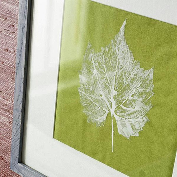 Framed leaf print art… bringing the outdoors in.  Pick a shapely green leaf (d