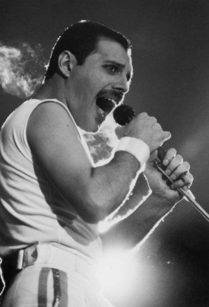 Freddie Mercury – freddie-mercury Photo
