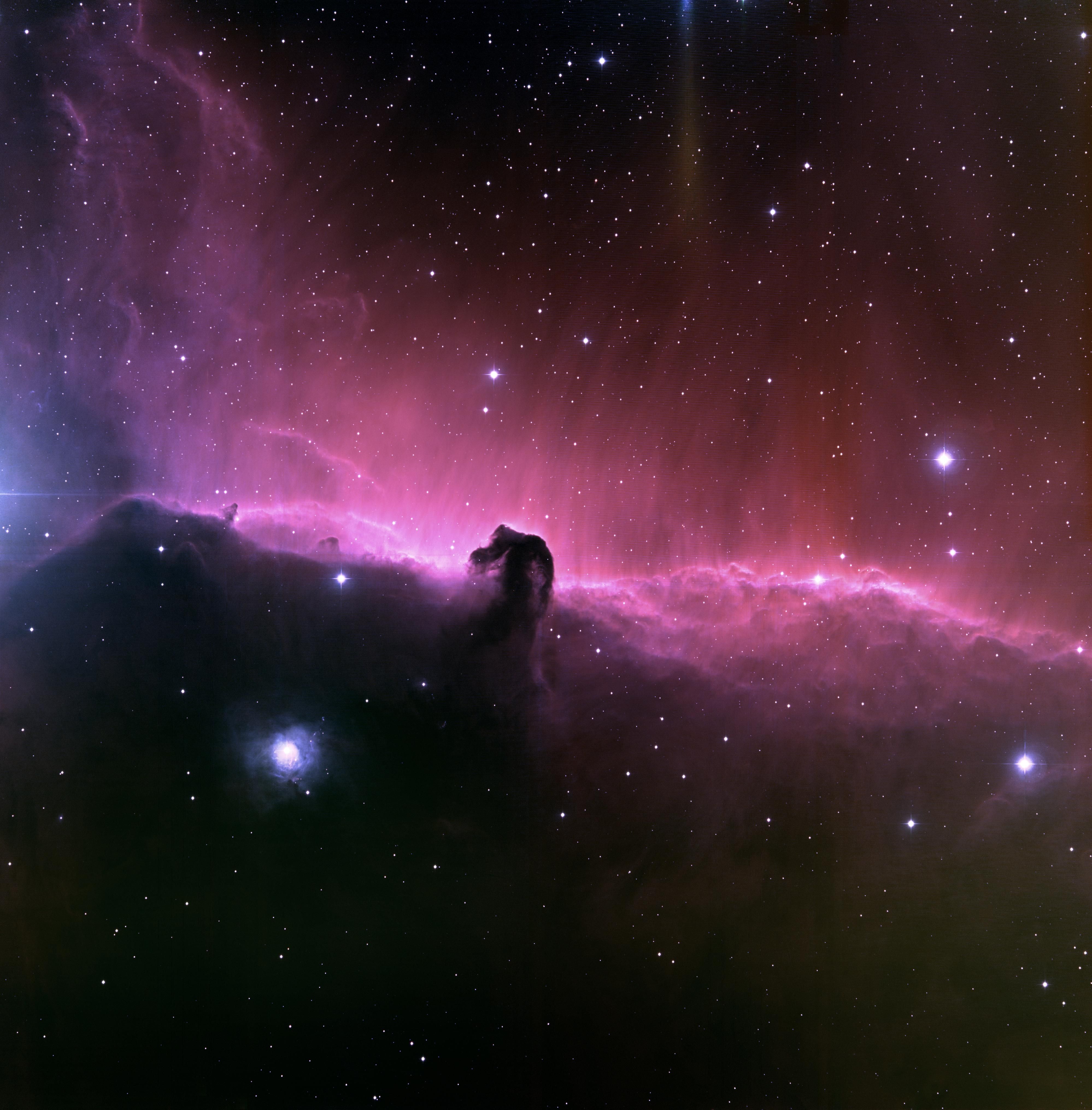 Horsehead Nebula…
