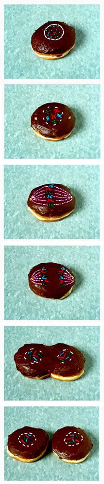 How donuts are made
