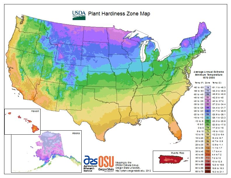 Literally, just released! The new USDA Zone Hardiness Map!! Taking down the old