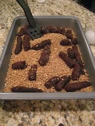 Make your family﻿ some kitty litter brownie dessert! It's just Squish