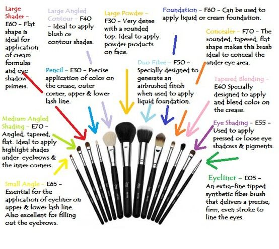 Makeup Brushes for Dummies