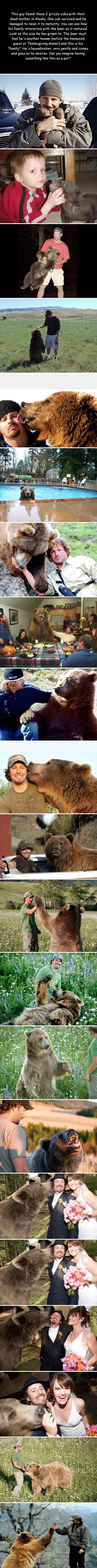 Now I kinda want a pet bear….