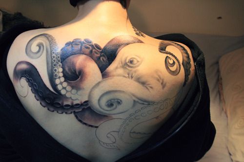 Octopus tattoo, beautiful shading!