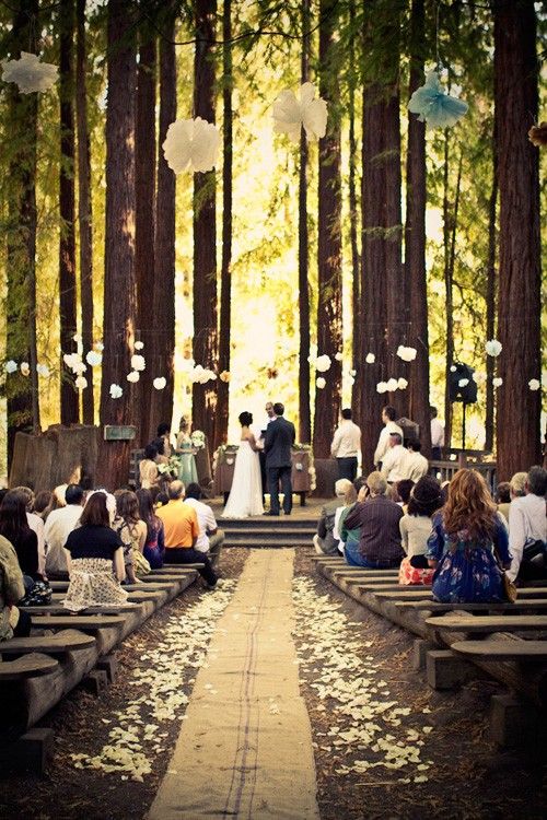 Outdoor woods wedding