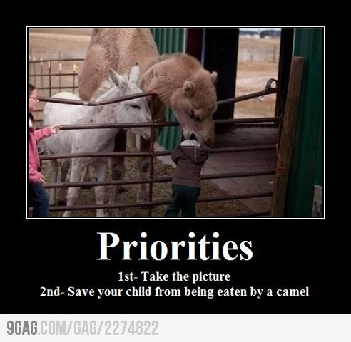 Priorities!
