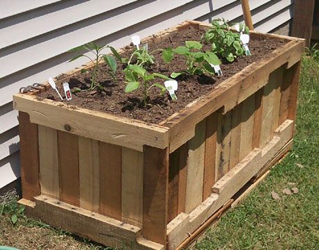 Raised garden bed using wooden pallets