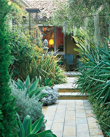 Sandstone walkway to house is flanked on the left by Agave attenuata, 'Goodw