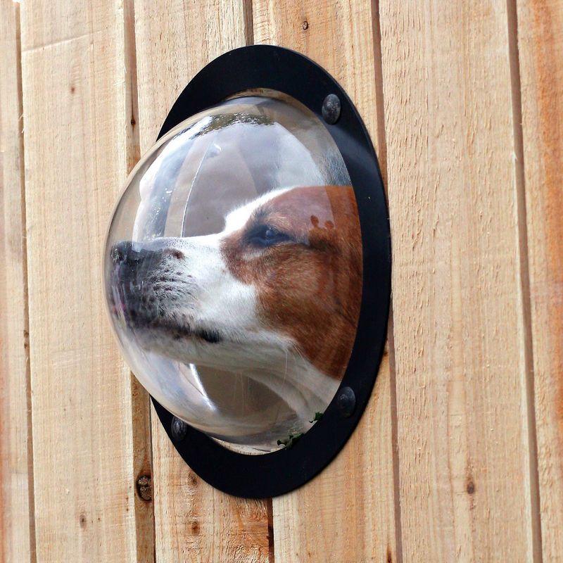 The Dog Observation Porthole - perfect for keeping an eye on the neighborhood