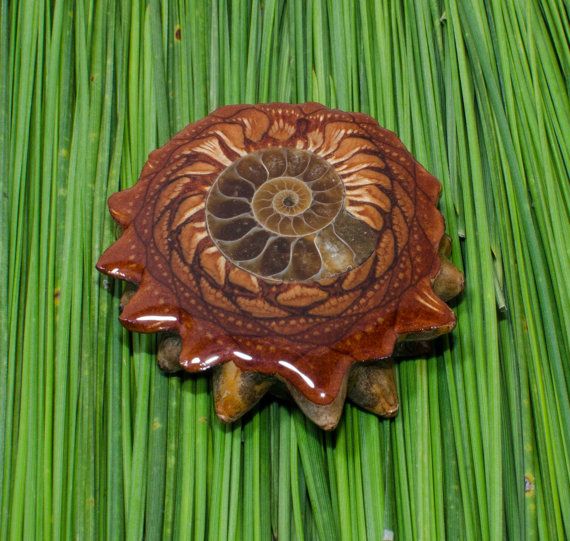 Third Eye Pinecone Necklaces and Talismans are made from the polished cross-sect
