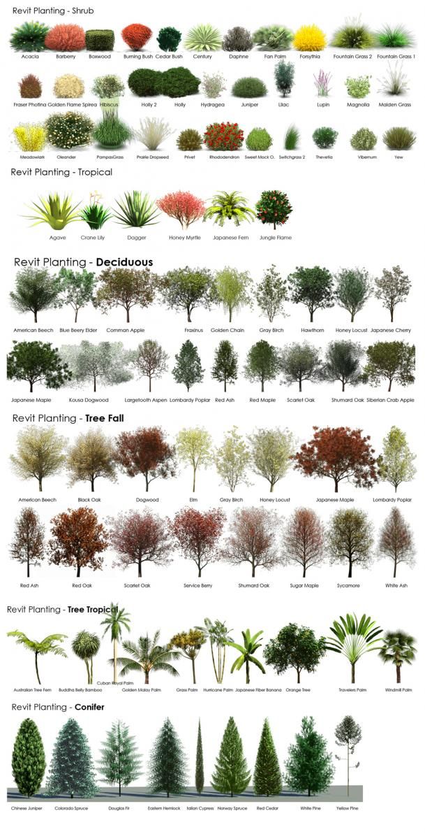 Very helpful in choosing plants for landscaping