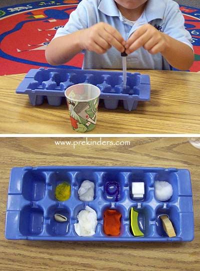 absorption experiment – I've done something like this before, and the kids l