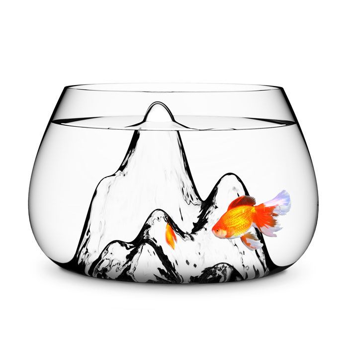 coolest fishbowl ever