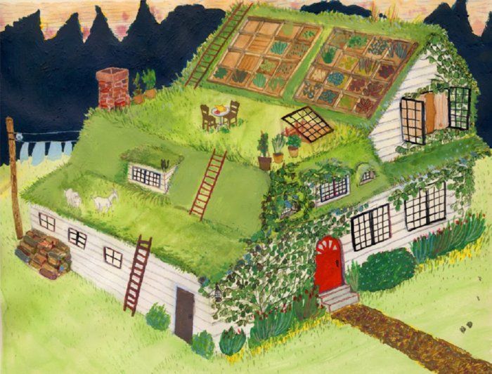green/living roof