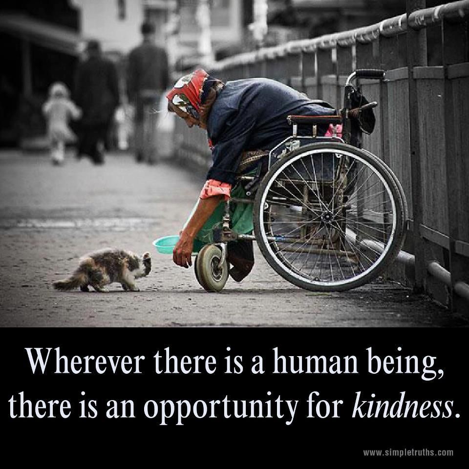 kindness begets kindness