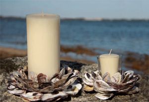 oyster shell candle