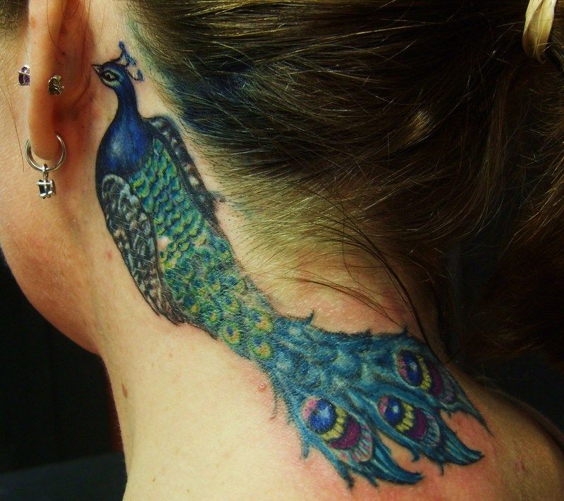 Peacock Feather Tattoo Designs -   Peacock tattoo Ideas