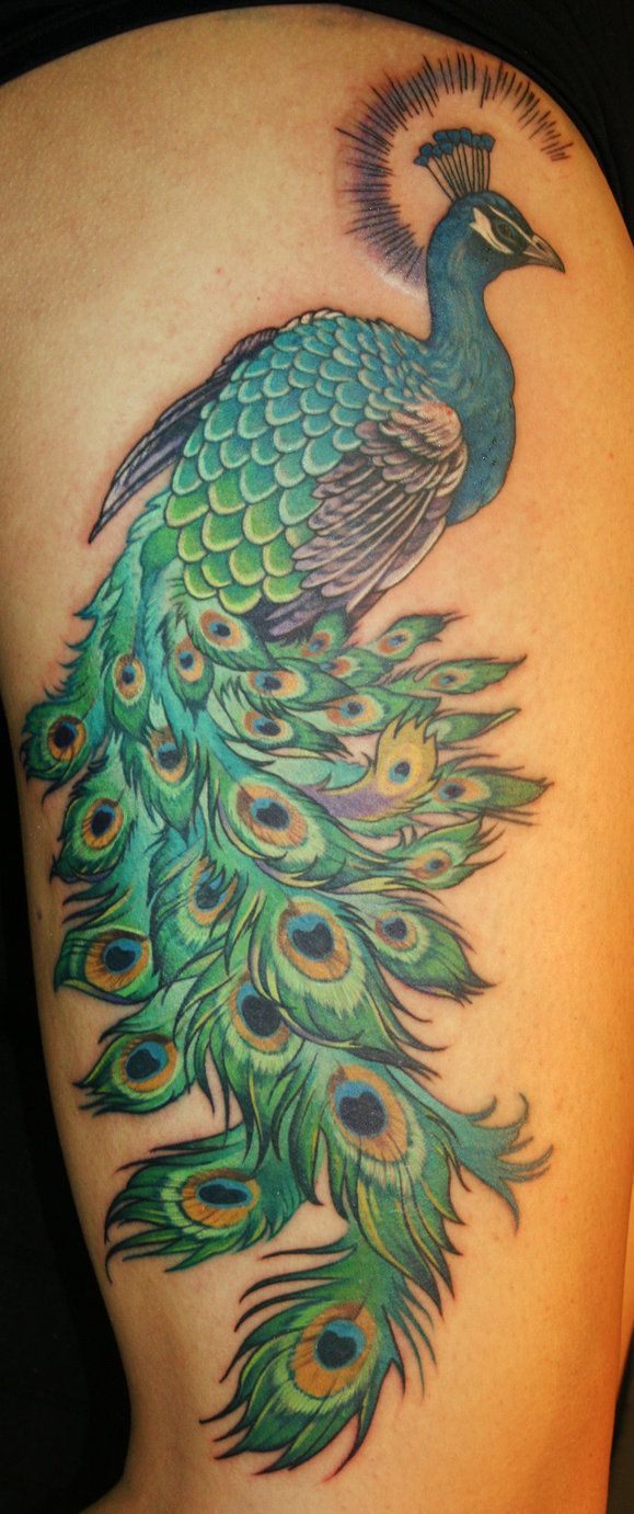 Spectacular Peacock Tattoos -   Peacock tattoo Ideas