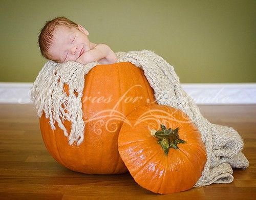 pumpkin baby picture ideas – Google Search