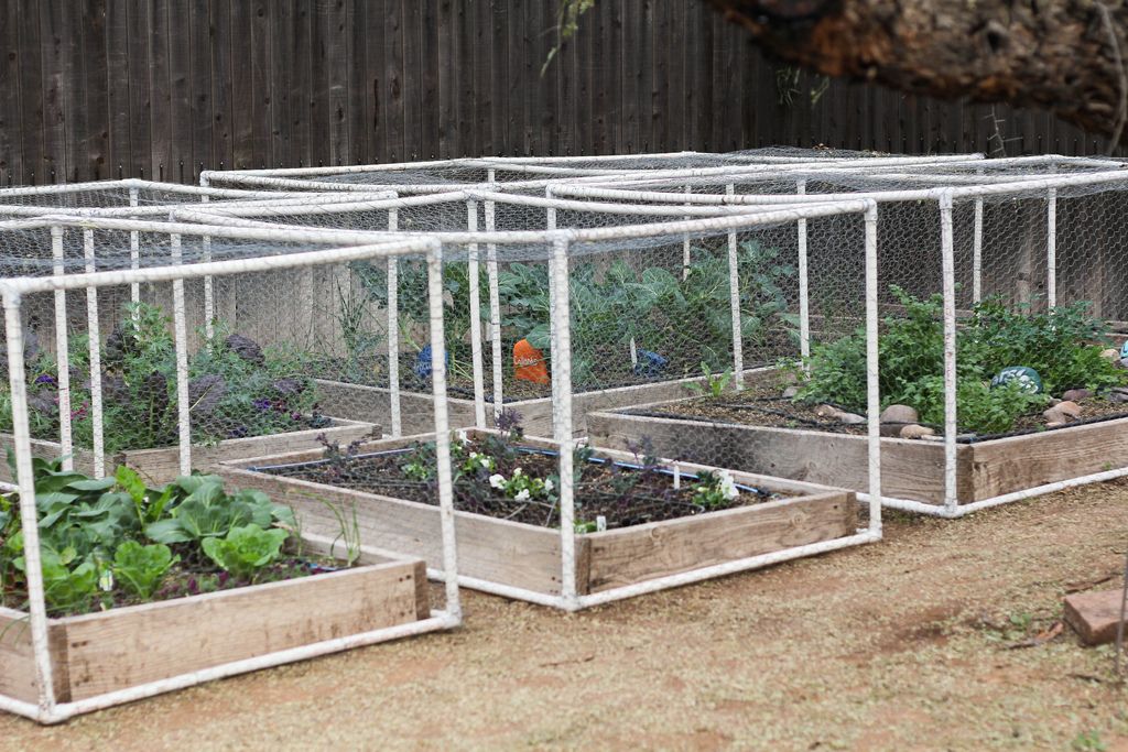 How use pvc pipe for home and garden