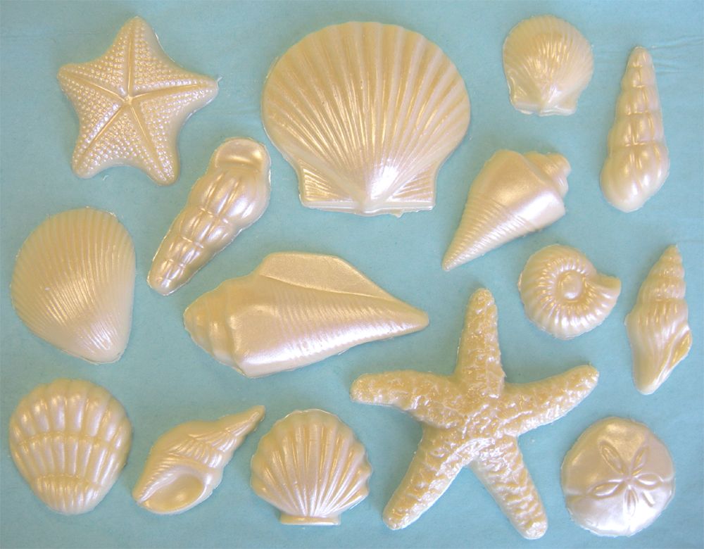 seashell quickly theme pearl you wedding silver seashell bermuda ... -   Seashell Gallery