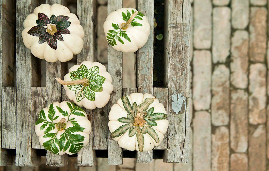 Botanical Pumpkins -   HOME DECORATIONS WITH FALL LEAVES