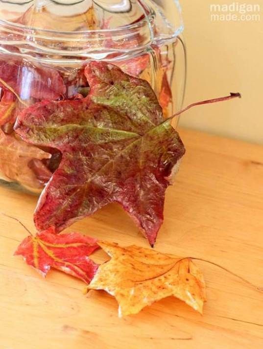 Preserve fall leaves -   HOME DECORATIONS WITH FALL LEAVES