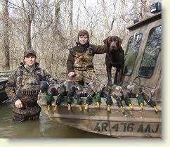 Arkansas duck hunting
