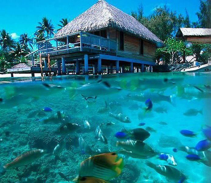 Bora Bora Hotel In Bora Bora