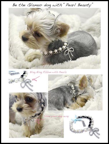 Couture Dog Accessories
