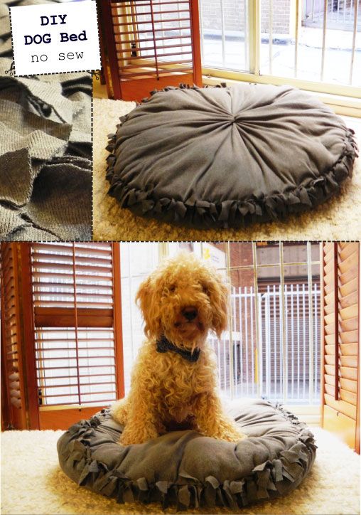 DIY Dog Bed – Super Easy NO SEW (or cat bed ;P)
