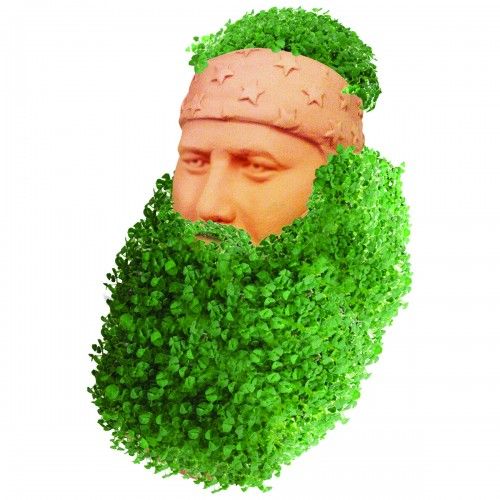 Duck Dynasty Willie Robertson Chia Pet