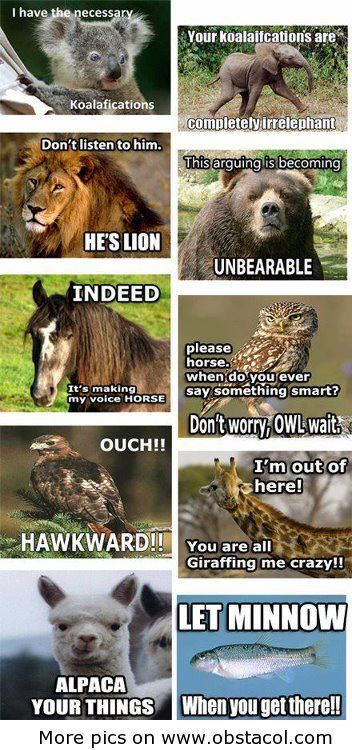 Funny animals sayings
