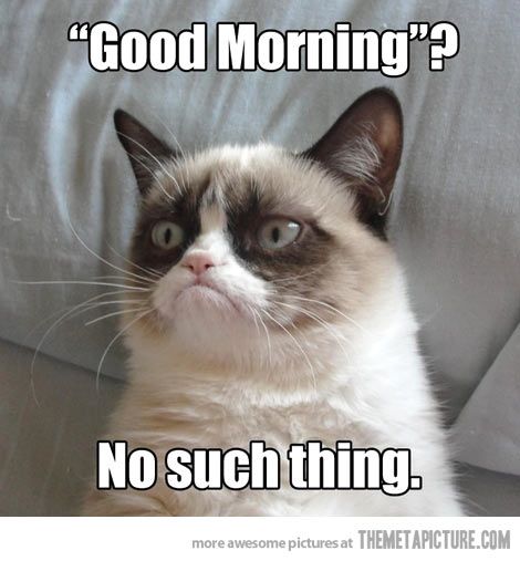 Grumpy Cat Wakes Up…
