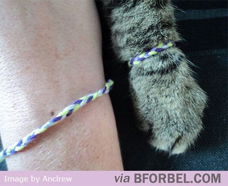 Made a Friendship Bracelet for my Cat and I…