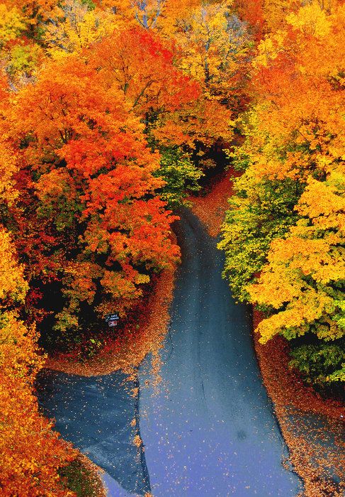 New England autumn.