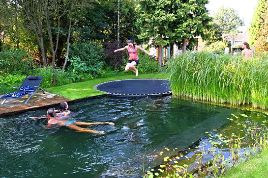 Pool disguised as pond with in ground trampoline as a faux diving board! This is
